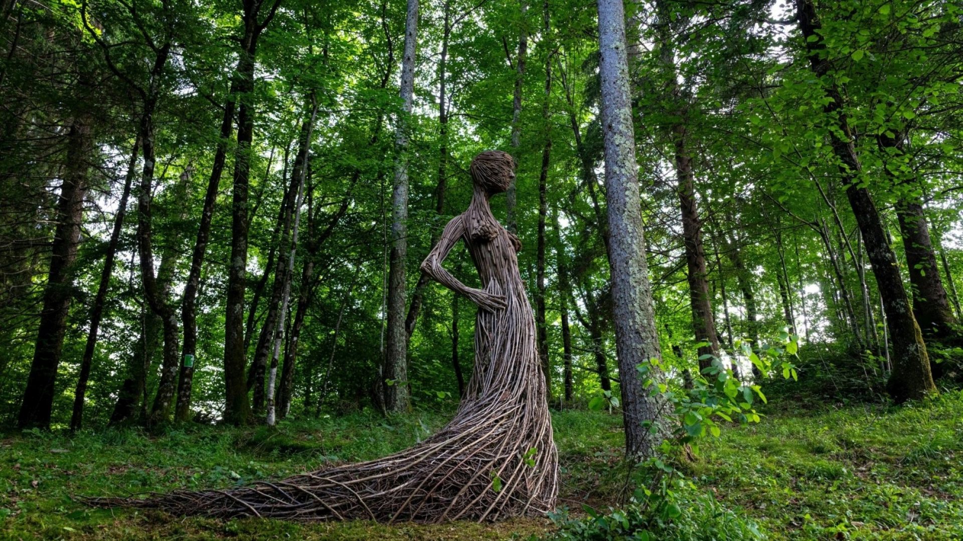 02 Visit Zoncolan_Escursione fra natura e creatività